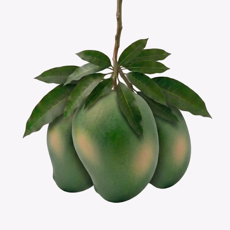 গোপালভোগ আম 12 KG