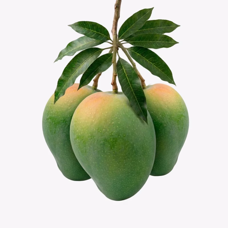 ল্যাংড়া আম 12 KG