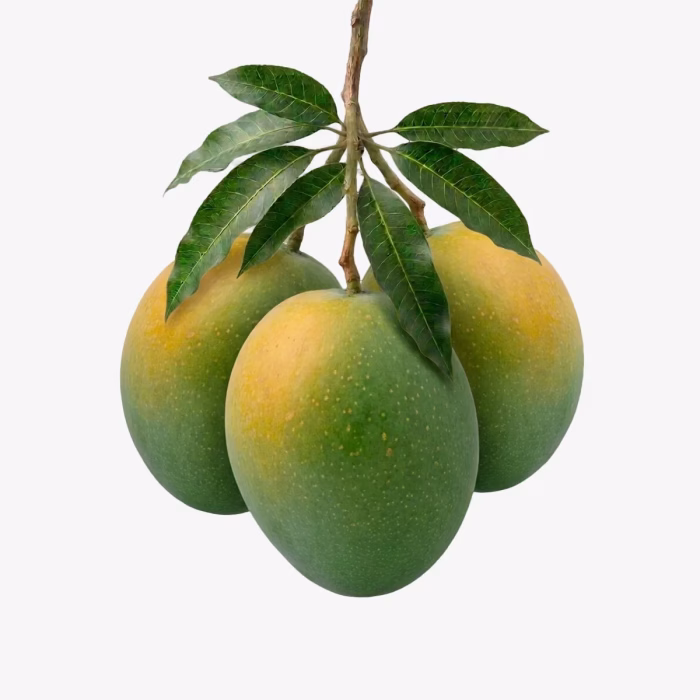 আম্রপালি আম 12 KG